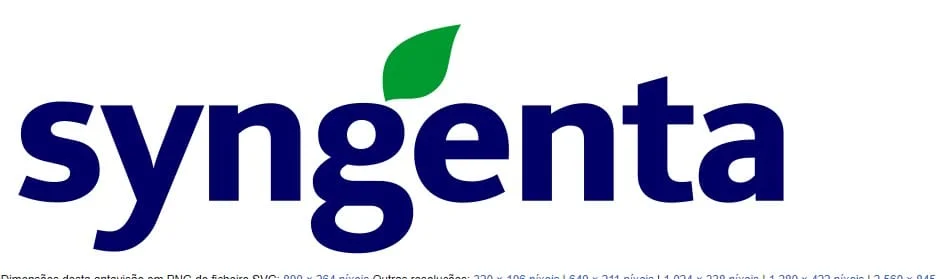 Imagem-do-WhatsApp-de-2024-06-04-as-15.16.47_97ab4bc8